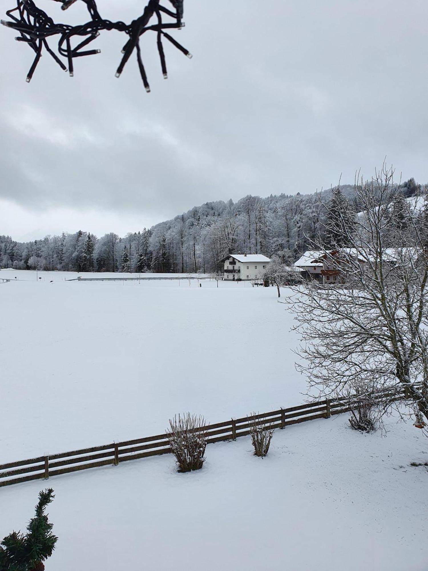 Ferienwohnungen Am Alpenrand Siegsdorf Extérieur photo